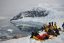 10 raisons de faire une croisière en Antarctique en 2022