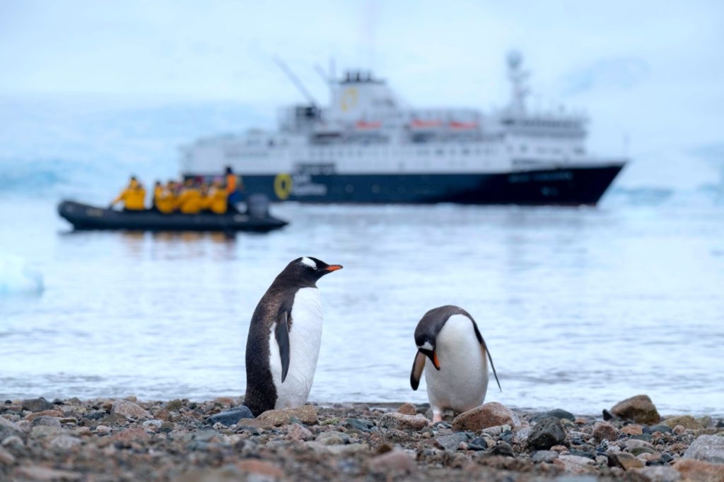 croisière en Antarctique pou observer la faune